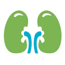 Kidney Care Susnet