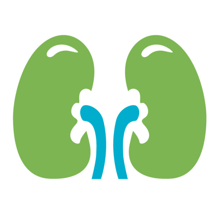 Kidney Care Susnet online networking event